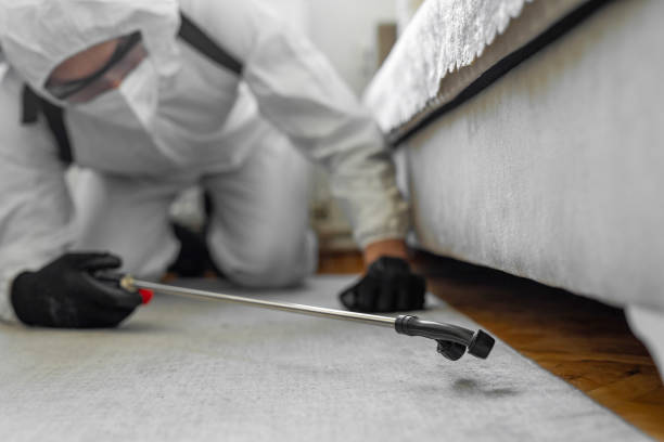 Professional Cockroach Control technician working in De Soto, IA